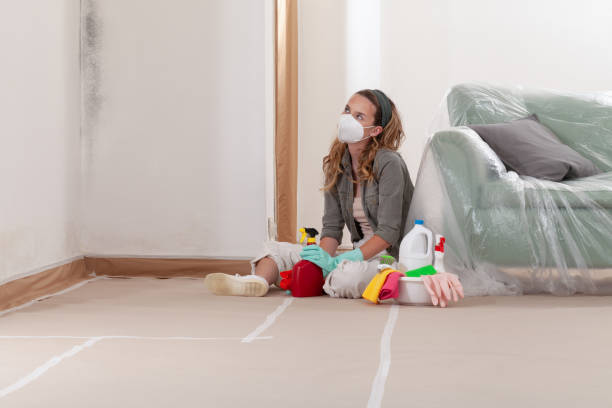 Reliable Commercial Mold Remediation contractor in Passaic, NJ by WQB Mold Removal
